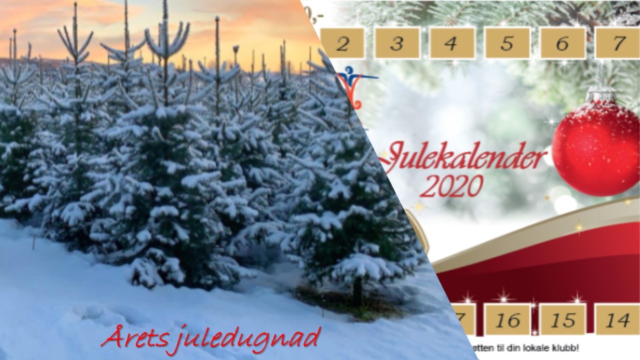 ÅRETS JULEDUGNAD